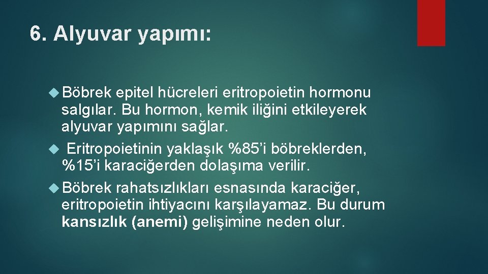 6. Alyuvar yapımı: Böbrek epitel hücreleri eritropoietin hormonu salgılar. Bu hormon, kemik iliğini etkileyerek