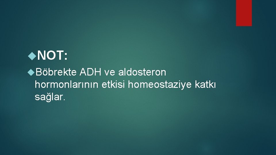  NOT: Böbrekte ADH ve aldosteron hormonlarının etkisi homeostaziye katkı sağlar. 