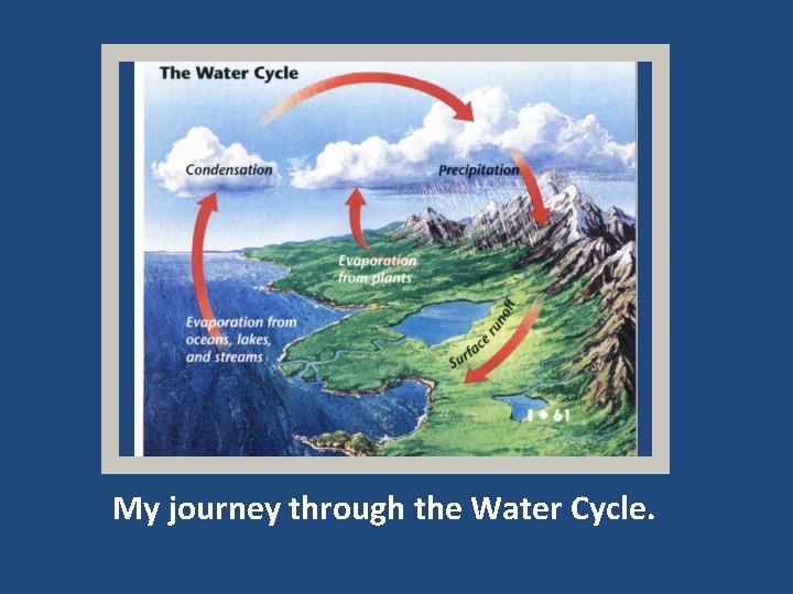 My journey through the Water Cycle. 