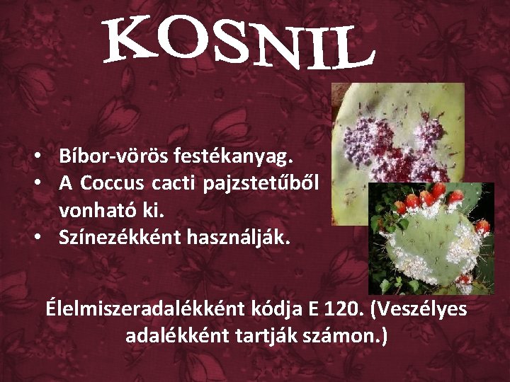  • Bíbor-vörös festékanyag. • A Coccus cacti pajzstetűből vonható ki. • Színezékként használják.