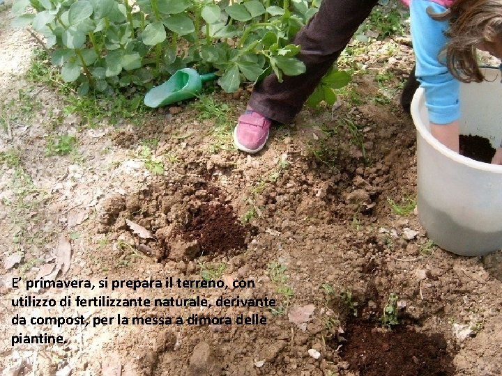 E’ primavera, si prepara il terreno, con utilizzo di fertilizzante naturale, derivante da compost,