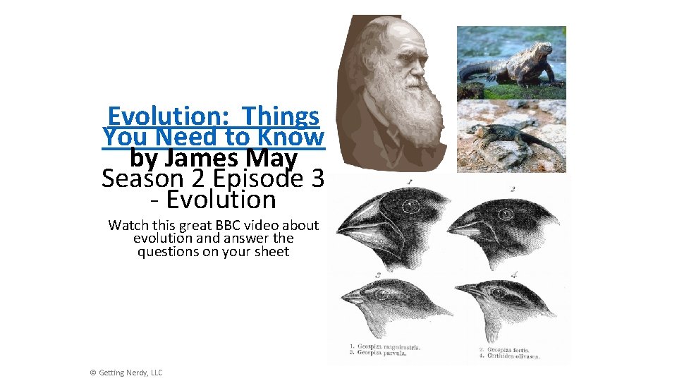 Evolution: Things You Need to Know by James May Season 2 Episode 3 -