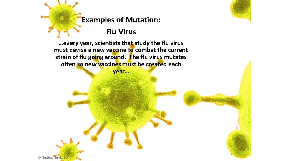 Examples of Mutation: Flu Virus …every year, scientists that study the flu virus must