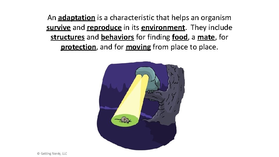 What is an Adaptation? An adaptation is a characteristic that helps an organism survive