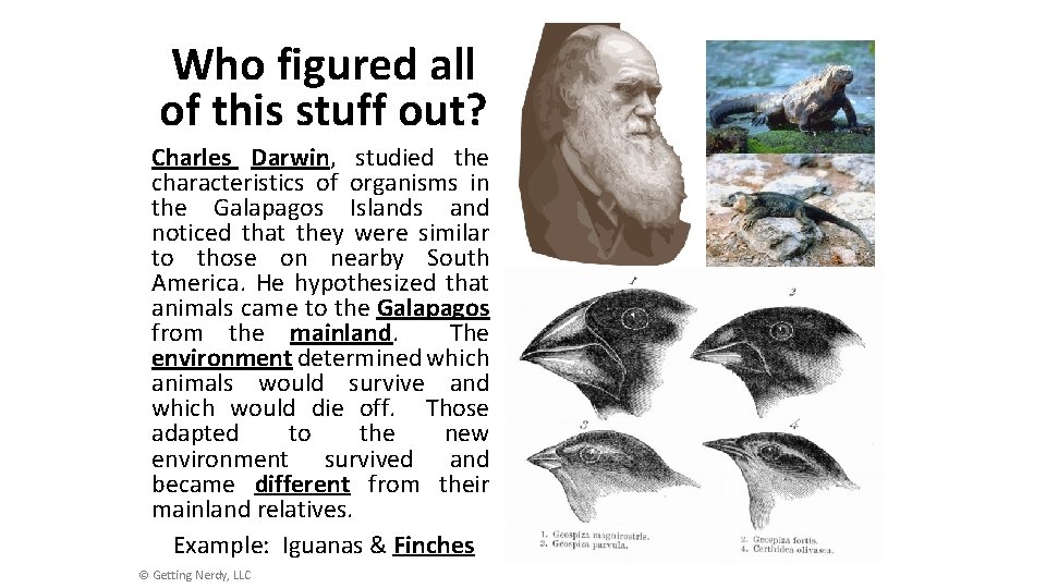 Who figured all of this stuff out? Charles Darwin, studied the characteristics of organisms