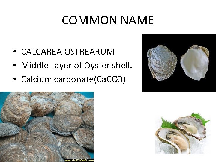 COMMON NAME • CALCAREA OSTREARUM • Middle Layer of Oyster shell. • Calcium carbonate(Ca.