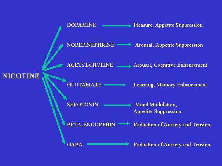 DOPAMINE Pleasure, Appetite Suppression NOREPINEPHRINE Arousal, Appetite Suppression ACETYLCHOLINE Arousal, Cognitive Enhancement GLUTAMATE Learning,