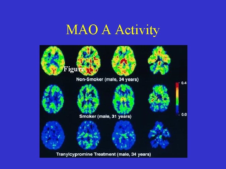 MAO A Activity Figure 