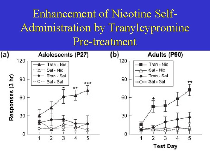 Enhancement of Nicotine Self. Administration by Tranylcypromine Pre-treatment Fig 
