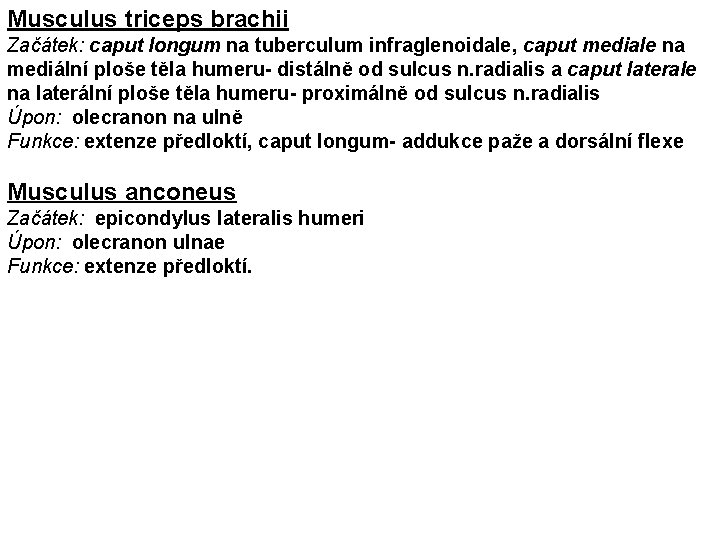 Musculus triceps brachii Začátek: caput longum na tuberculum infraglenoidale, caput mediale na mediální ploše