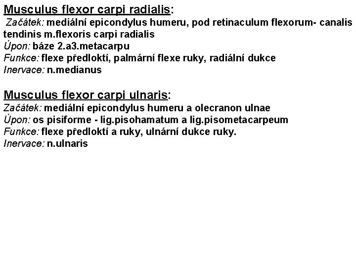 Musculus flexor carpi radialis: Začátek: mediální epicondylus humeru, pod retinaculum flexorum- canalis tendinis m.