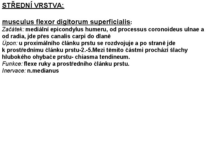 STŘEDNÍ VRSTVA: musculus flexor digitorum superficialis: Začátek: mediální epicondylus humeru, od processus coronoideus ulnae