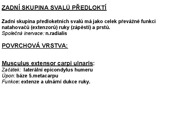 ZADNÍ SKUPINA SVALŮ PŘEDLOKTÍ Zadní skupina předloketních svalů má jako celek převážně funkci natahovačů