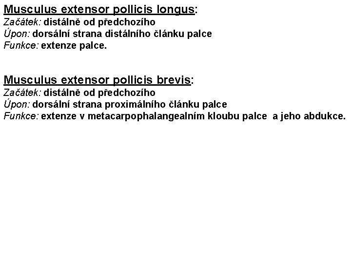 Musculus extensor pollicis longus: Začátek: distálně od předchozího Úpon: dorsální strana distálního článku palce
