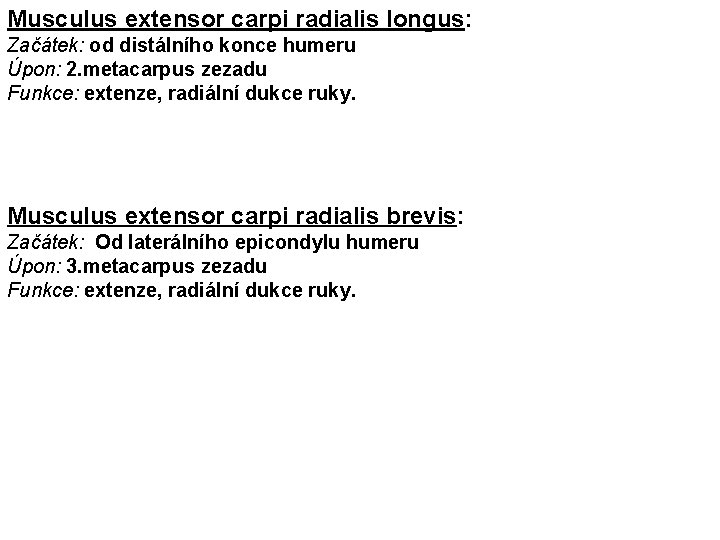 Musculus extensor carpi radialis longus: Začátek: od distálního konce humeru Úpon: 2. metacarpus zezadu