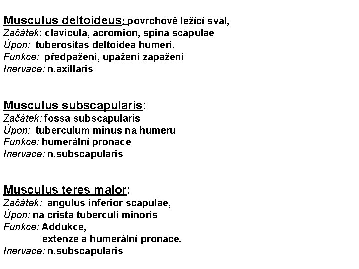 Musculus deltoideus: povrchově ležící sval, Začátek: clavicula, acromion, spina scapulae Úpon: tuberositas deltoidea humeri.