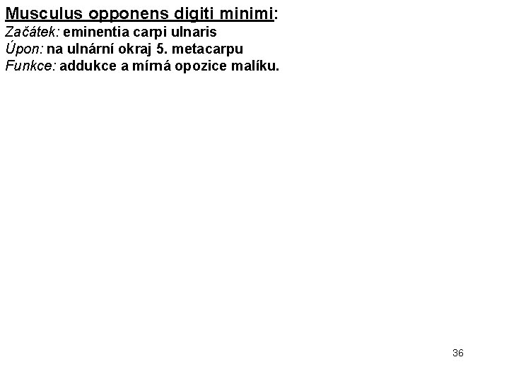 Musculus opponens digiti minimi: Začátek: eminentia carpi ulnaris Úpon: na ulnární okraj 5. metacarpu