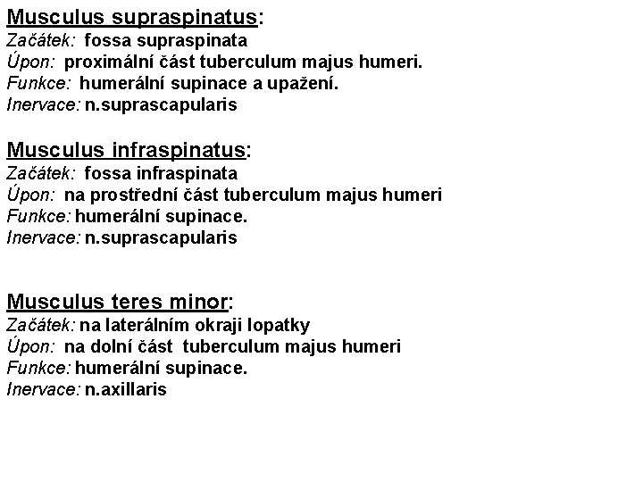 Musculus supraspinatus: Začátek: fossa supraspinata Úpon: proximální část tuberculum majus humeri. Funkce: humerální supinace