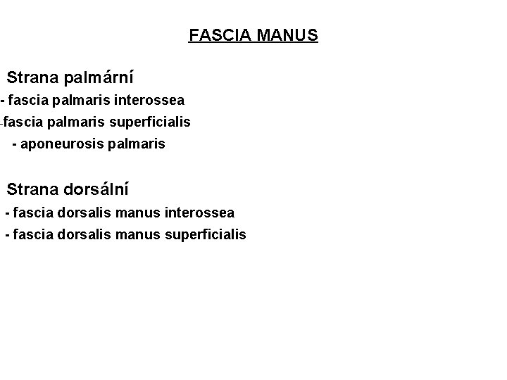 FASCIA MANUS • Strana palmární - fascia palmaris interossea -fascia palmaris superficialis - aponeurosis