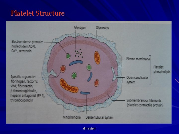 Platelet Structure drmsaiem 