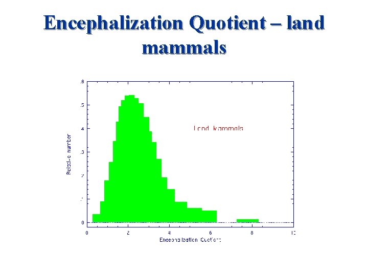 Encephalization Quotient – land mammals 