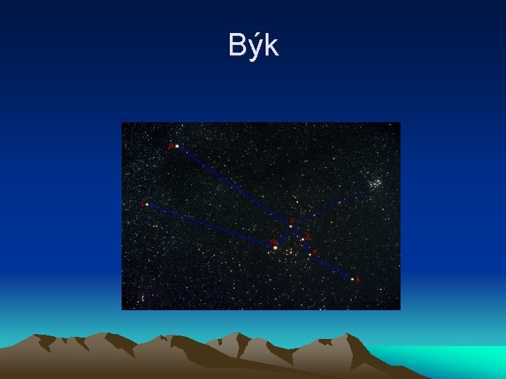 Býk 