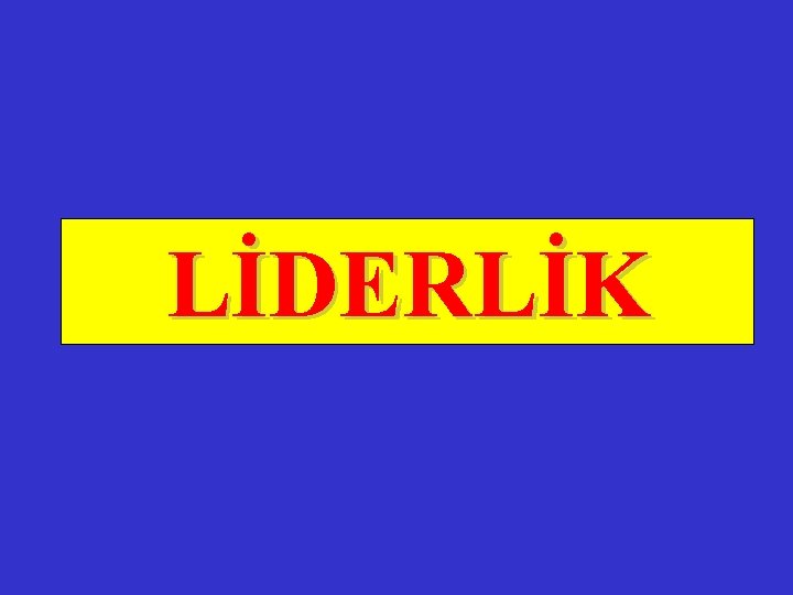 LİDERLİK 