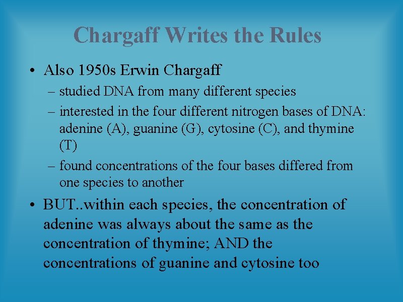 Chargaff Writes the Rules • Also 1950 s Erwin Chargaff – studied DNA from