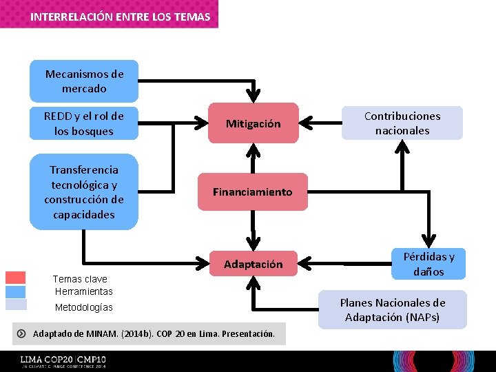 INTERRELACIÓN ENTRE LOS TEMAS Mecanismos de mercado REDD y el rol de los bosques