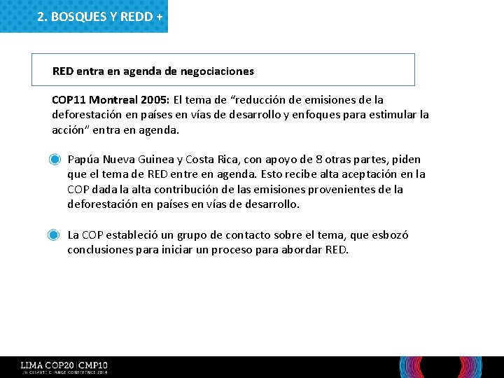 2. BOSQUES Y REDD + RED entra en agenda de negociaciones COP 11 Montreal