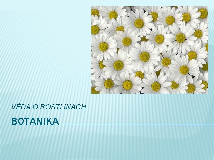 VĚDA O ROSTLINÁCH BOTANIKA 