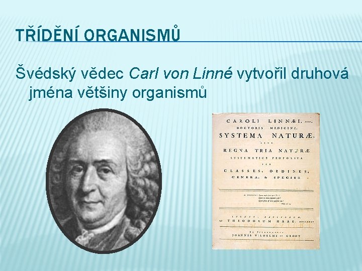 TŘÍDĚNÍ ORGANISMŮ Švédský vědec Carl von Linné vytvořil druhová jména většiny organismů 