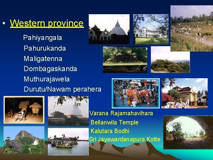  • Western province Pahiyangala Pahurukanda Maligatenna Dombagaskanda Muthurajawela Durutu/Nawam perahera Varana Rajamahavihara Bellanwila