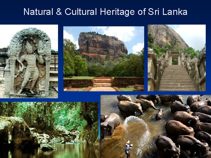 Natural & Cultural Heritage of Sri Lanka 