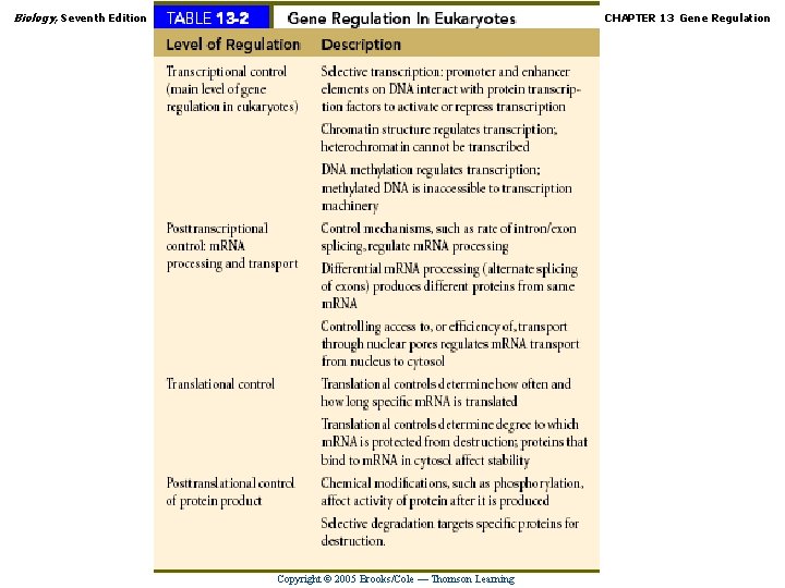 Biology, Seventh Edition CHAPTER 13 Gene Regulation Copyright © 2005 Brooks/Cole — Thomson Learning