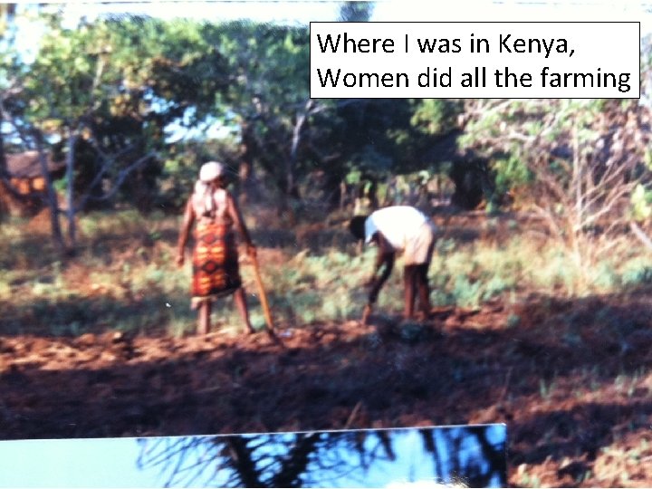 Where I was in Kenya, Women did all the farming 