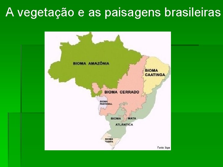 A vegetação e as paisagens brasileiras 