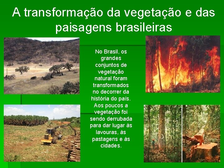 A transformação da vegetação e das paisagens brasileiras No Brasil, os grandes conjuntos de