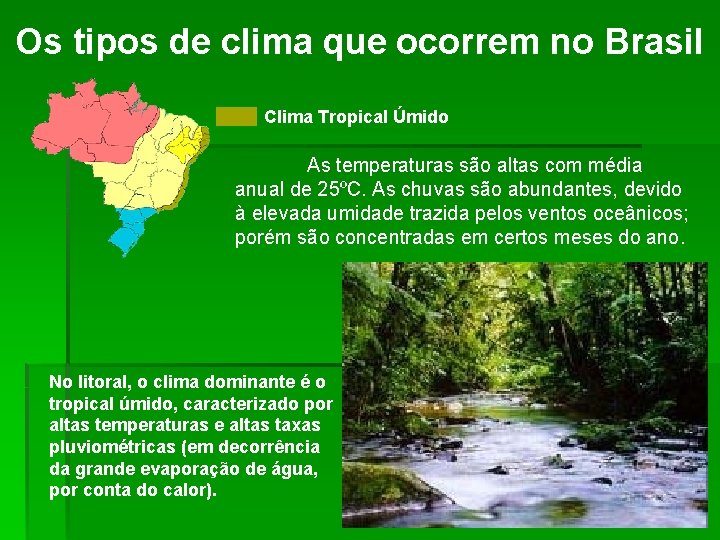Os tipos de clima que ocorrem no Brasil Clima Tropical Úmido As temperaturas são