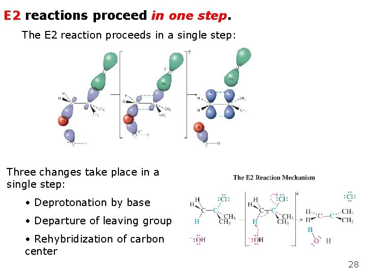 E 2 reactions proceed in one step. The E 2 reaction proceeds in a E 2 reactions proceed in one step. The E 2 reaction proceeds in a