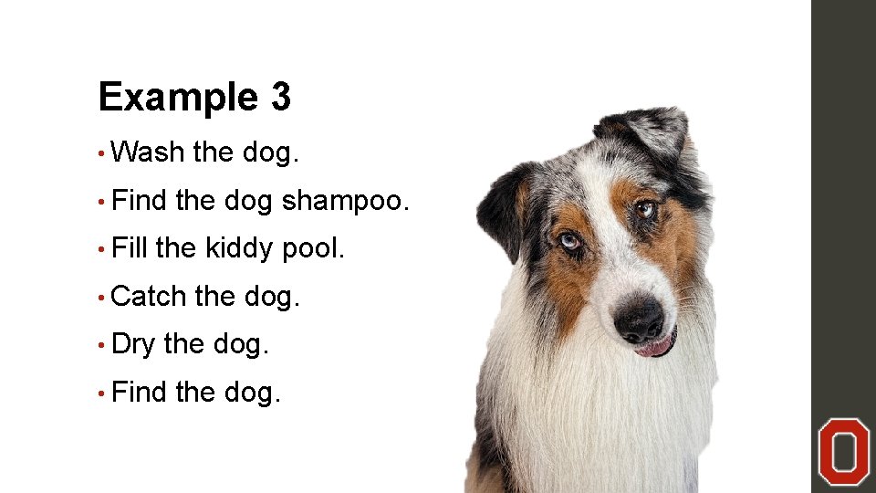 Example 3 • Wash the dog. • Find the dog shampoo. • Fill the