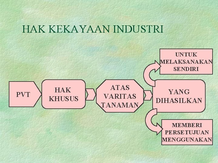 HAK KEKAYAAN INDUSTRI UNTUK MELAKSANAKAN SENDIRI PVT HAK KHUSUS ATAS VARITAS TANAMAN YANG DIHASILKAN