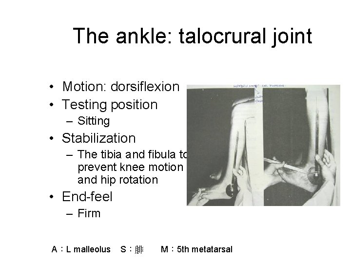 The ankle: talocrural joint • Motion: dorsiflexion • Testing position – Sitting • Stabilization