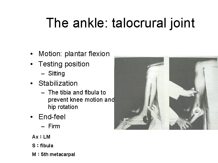 The ankle: talocrural joint • Motion: plantar flexion • Testing position – Sitting •