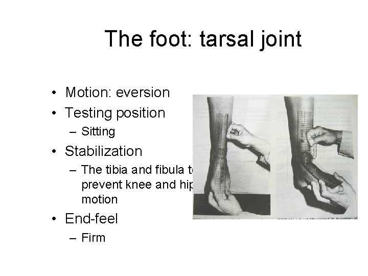 The foot: tarsal joint • Motion: eversion • Testing position – Sitting • Stabilization