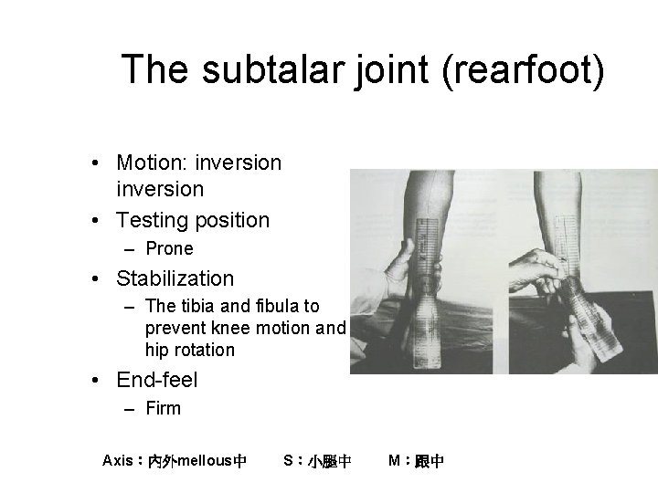 The subtalar joint (rearfoot) • Motion: inversion • Testing position – Prone • Stabilization
