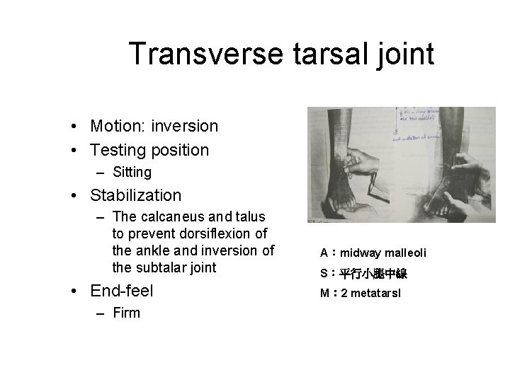 Transverse tarsal joint • Motion: inversion • Testing position – Sitting • Stabilization –