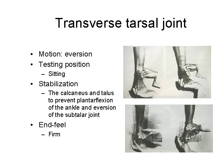 Transverse tarsal joint • Motion: eversion • Testing position – Sitting • Stabilization –