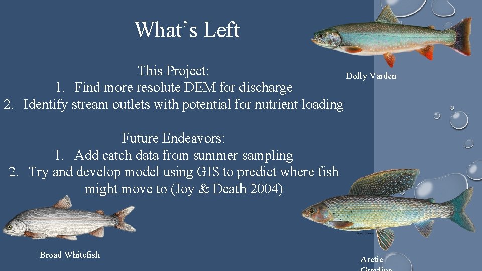 What’s Left This Project: Dolly Varden 1. Find more resolute DEM for discharge 2.