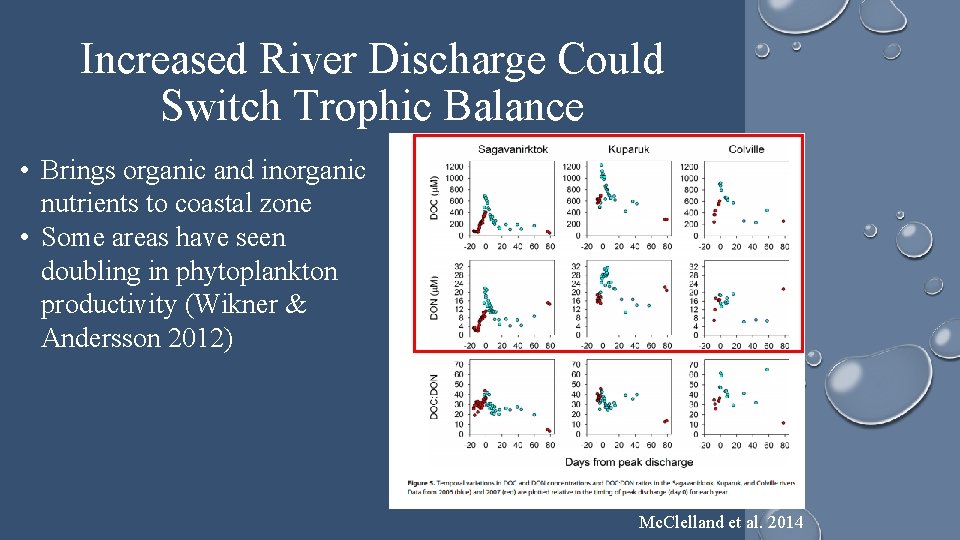 Increased River Discharge Could Switch Trophic Balance • Brings organic and inorganic nutrients to